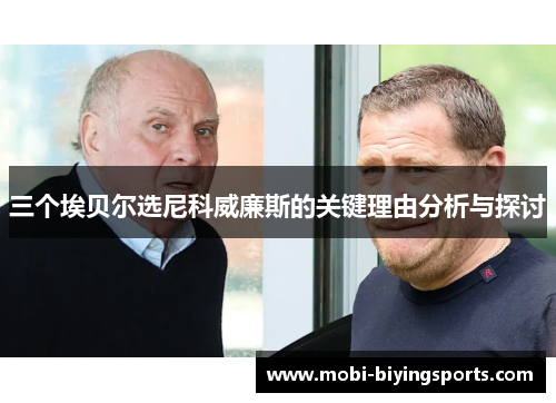 三个埃贝尔选尼科威廉斯的关键理由分析与探讨