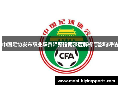 中国足协发布职业联赛降薪指南深度解析与影响评估