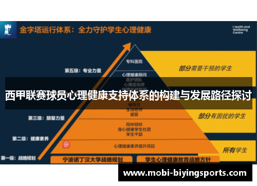 西甲联赛球员心理健康支持体系的构建与发展路径探讨